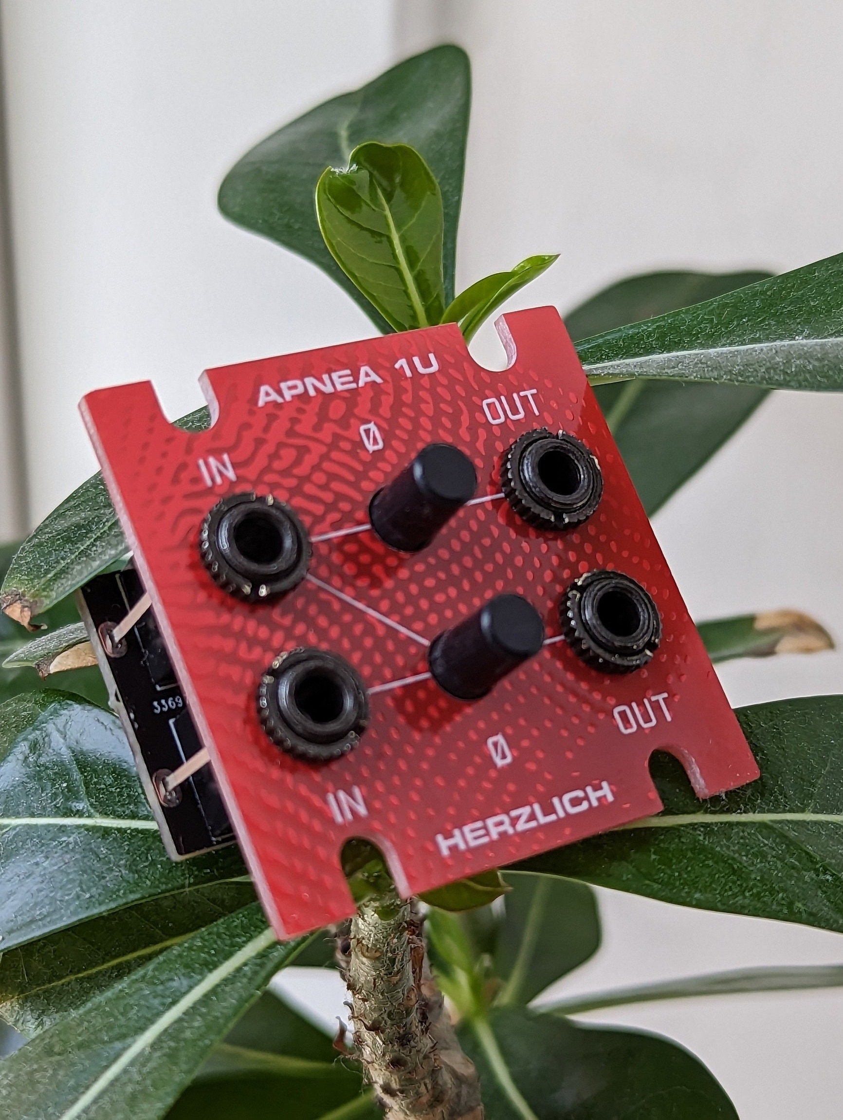 Dual Mute Switch 1U - Herzlich Apnea 1U - passive mute switch for Eurorack and modular synths