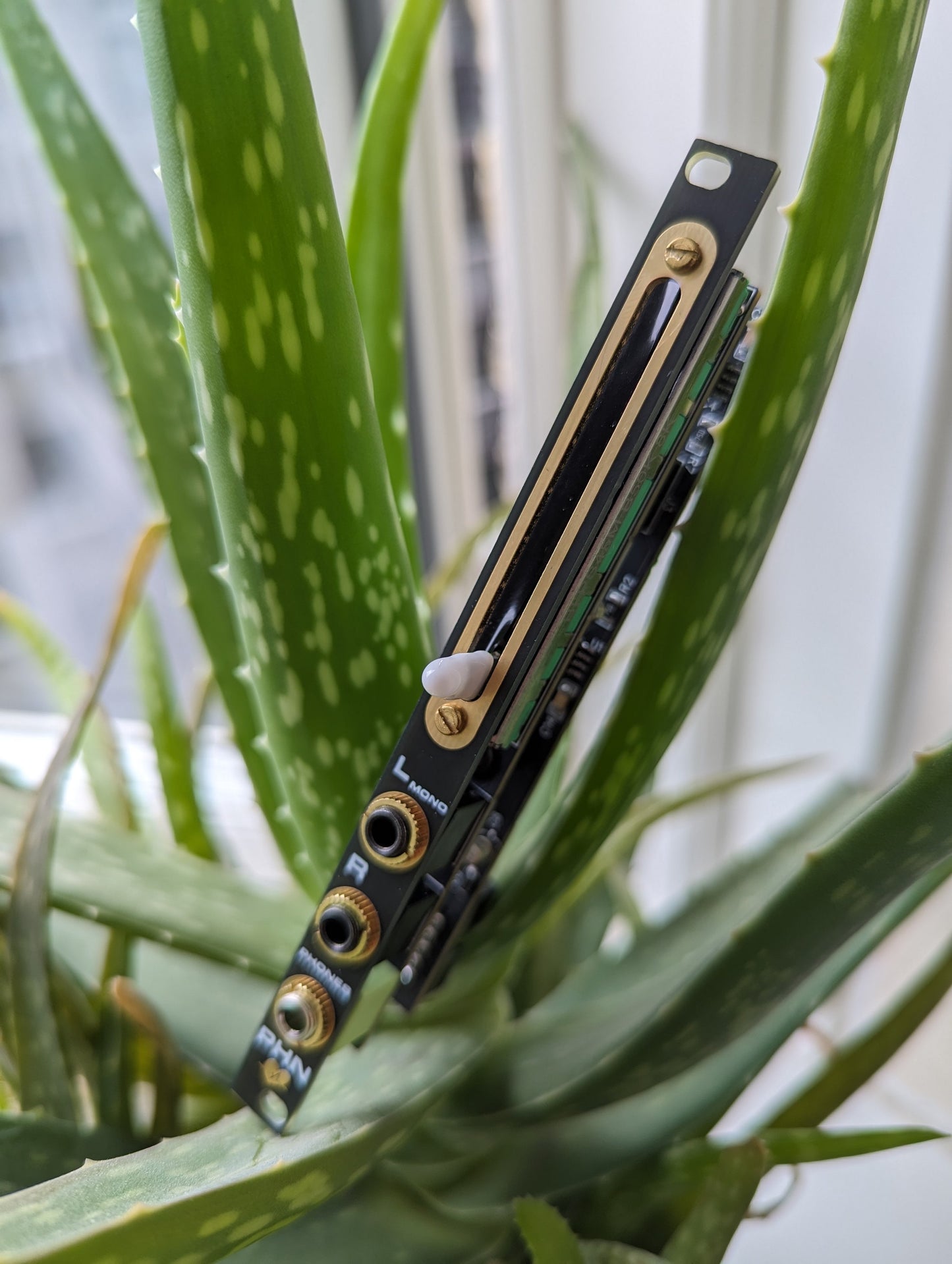 Headphone Output and Stereo Headphone Preamp - Herzlich Micro Phone Out in 2hp for 3U Eurorack modular
