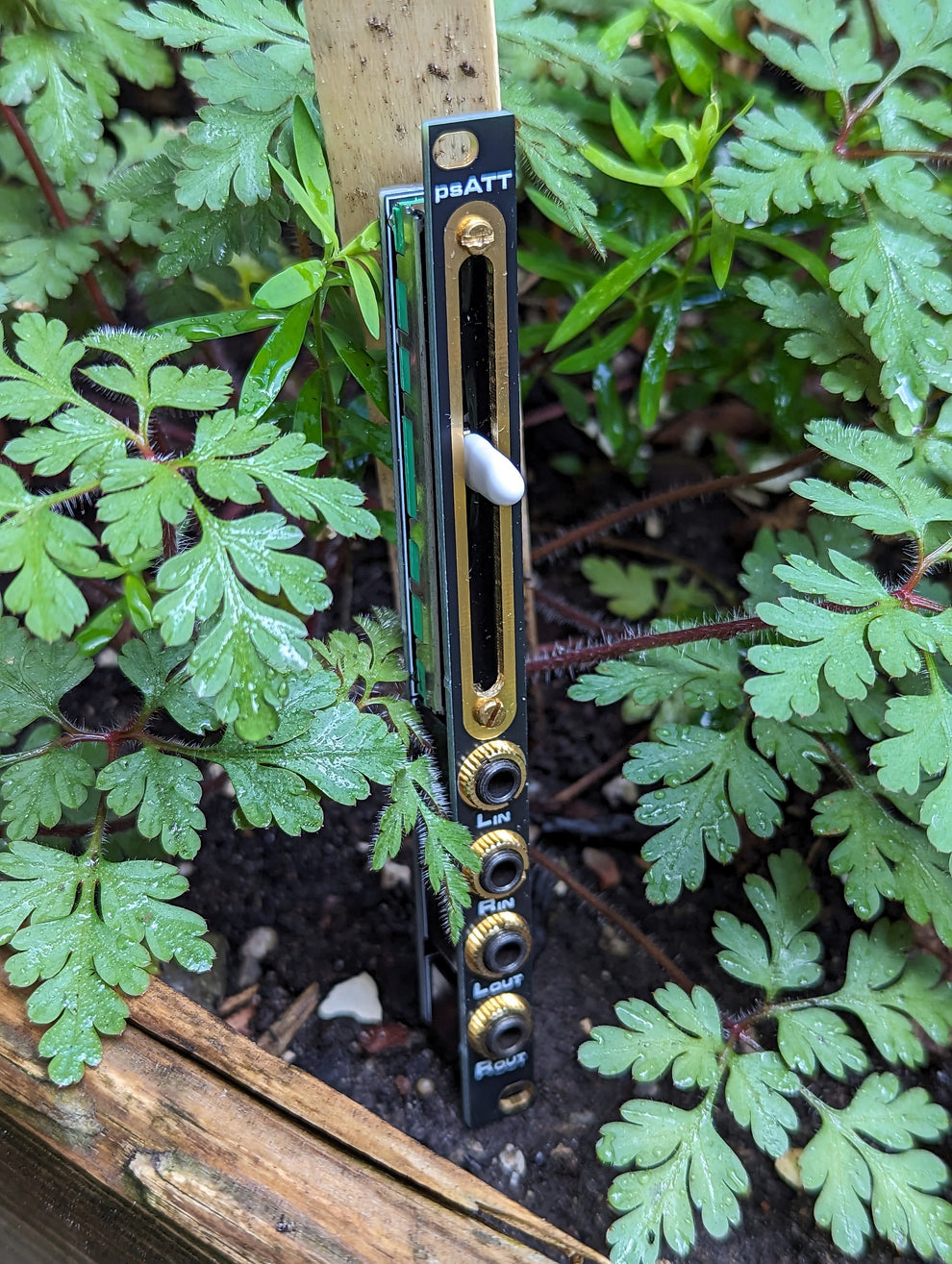 Passive stereo attenuator Herzlich psATT in 2hp for 3U Eurorack, mod